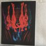 Blood and Black Lace 4K Limited Edition Arrow Video Mario Bava Image 7