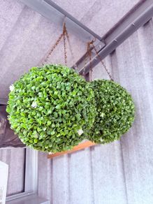 Topiary Ball / Artificial Plant Pair