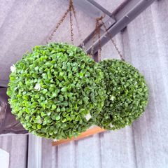 Topiary Ball / Artificial Plant Pair