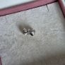 Pandora sparkly bow charm/pendant very good condition Image 6