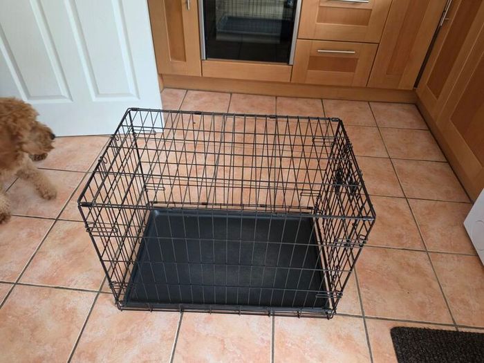 dog crate
