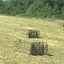 Square Haylage Image 2