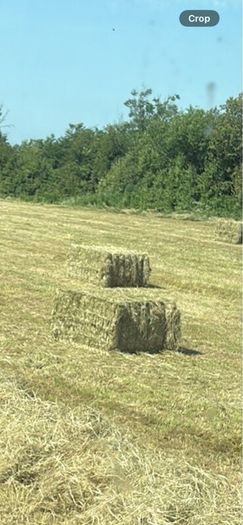 Square Haylage