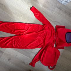 Among us costume