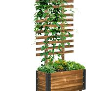 Raised Bed with Trellis, 4 Wheels, Treated Pine Wood, 65 cm x 31 cm x 147 cm, Black + Brown