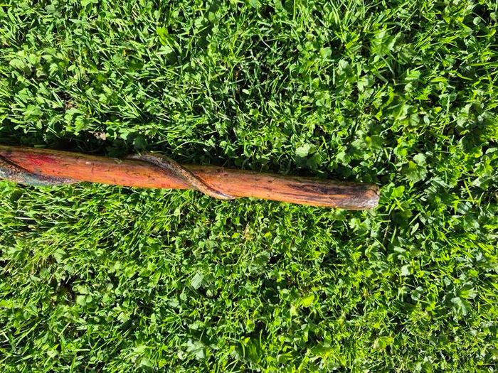 Hand-Carved Wooden Snake Walking Stick / Serpent Cane