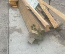 Free timber