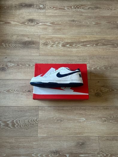 Big Nike Lows