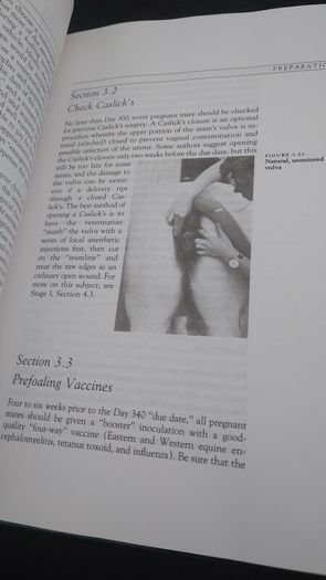 The Complete Book of Foaling : An Illustrated Guide for the Foaling Attendant