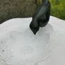Old bird feeder with bird Image 3