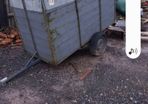 Calf sheep pony box