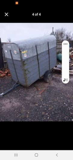 Calf sheep pony box