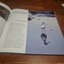 An Essential Guide to Bird Photography (Paperback) Image 3