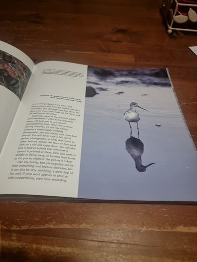 An Essential Guide to Bird Photography (Paperback)