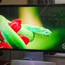 Samsung Glasses-free 3D 4K Monitor Image 3
