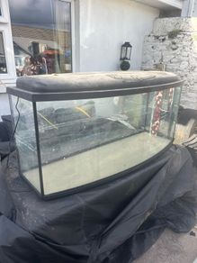 fish tank