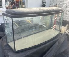 fish tank