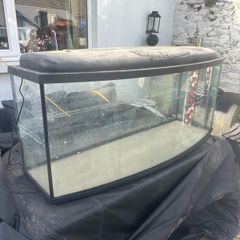 fish tank