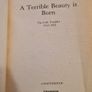 A Terrible Beauty Is Born. By Ulick O Connor. Paperback In Good Condition. Image 4