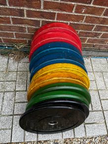 150kg olympic bumper weight plates