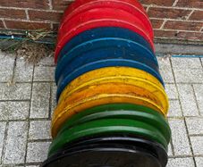 150kg olympic bumper weight plates