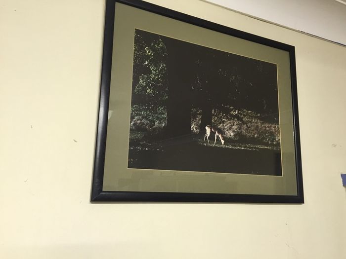 Framed Picture