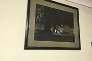 Framed Picture