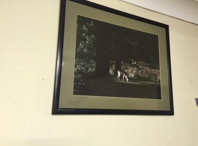 Framed Picture