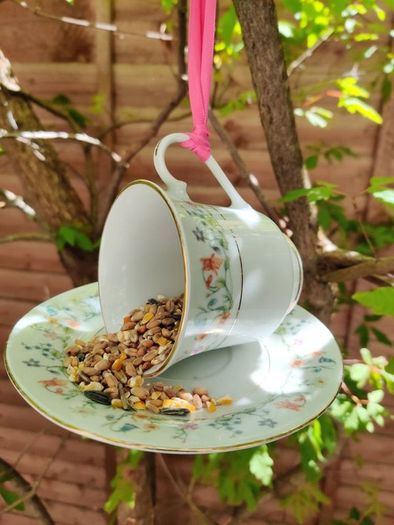 Bird feeder