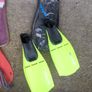 Flippers Image 4