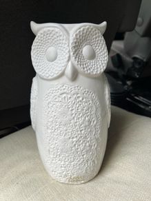 Brand New Porcelain Owl Vase