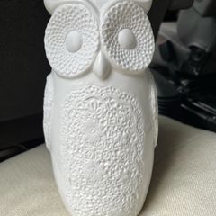 Brand New Porcelain Owl Vase