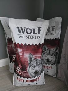 wolf of wilderness