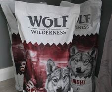wolf of wilderness