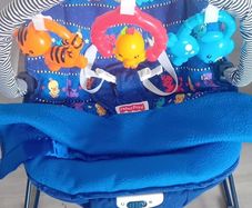 Baby Bouncer