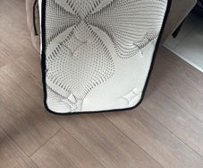 dog bed