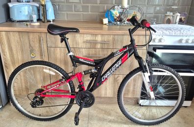 Challenge Orbit DS  Like New open to offers