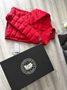 canada goose