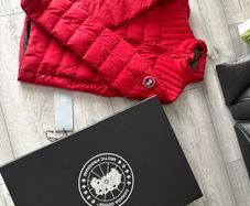 canada goose