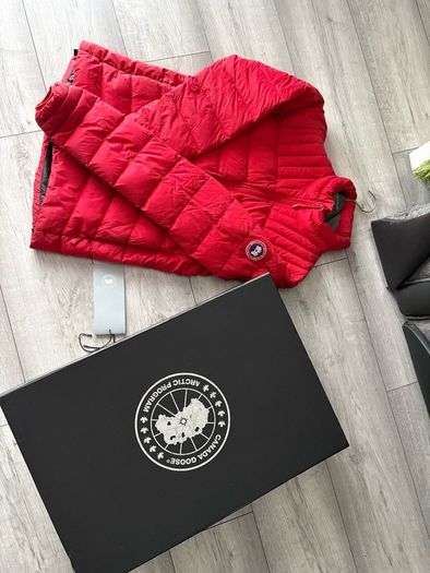 canada goose
