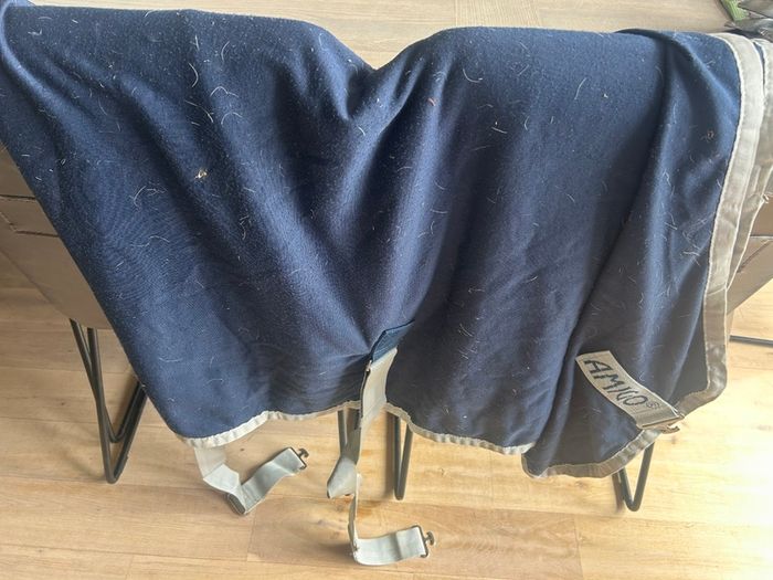 Equestrian