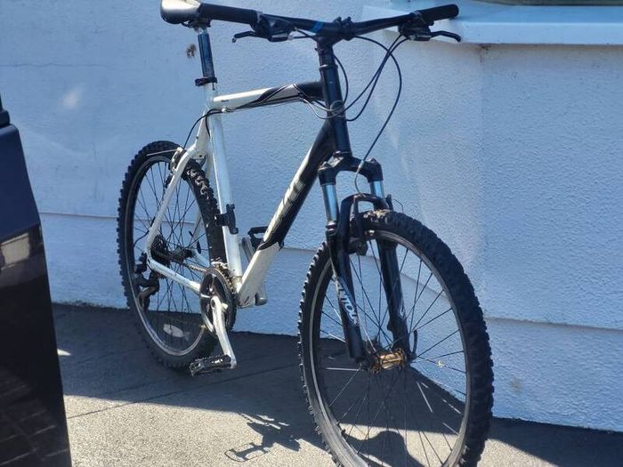 Giant Rhincon 23" Xl Frame  Needs Service Cycle Home