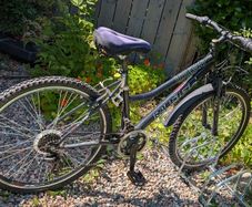 Ladies Raleigh Durango Racer
