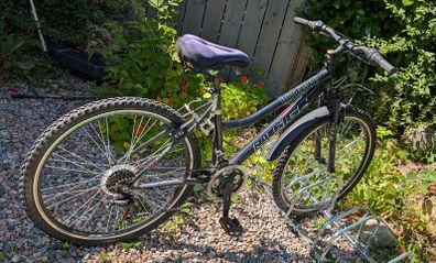 Ladies Raleigh Durango Racer