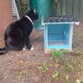 Bird feeder Image 4