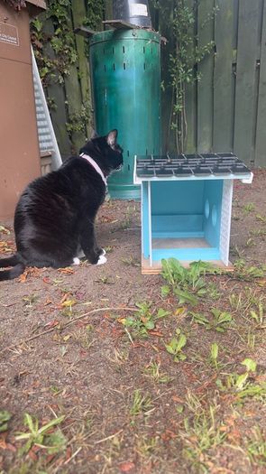 Bird feeder