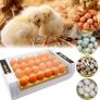 24-Egg Incubator with Automatic Digital Temperature Control Image 2