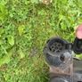 towbar Image 6