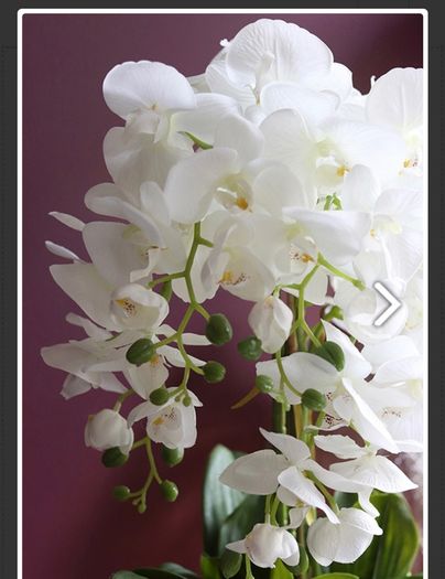 Extra Large Beautifull Flower like real 60 cm tall