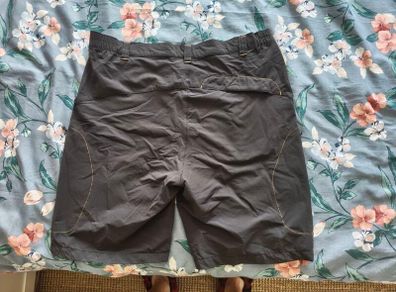 Arc'terix Shorts mens